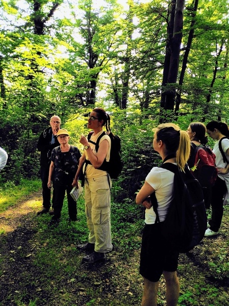 Bildrechte: Elfriede Maria Reininger